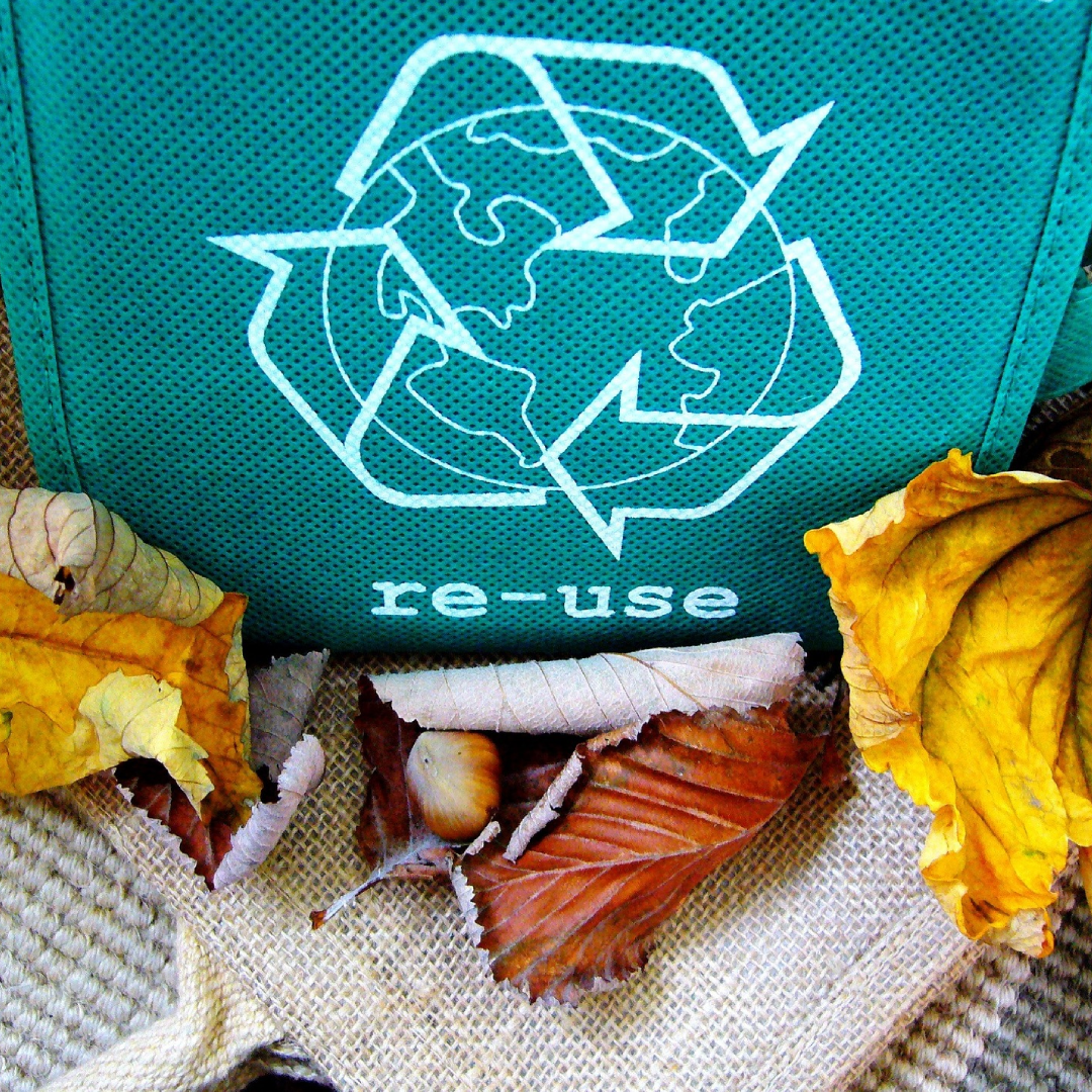 Shopping bag with leaves below it.