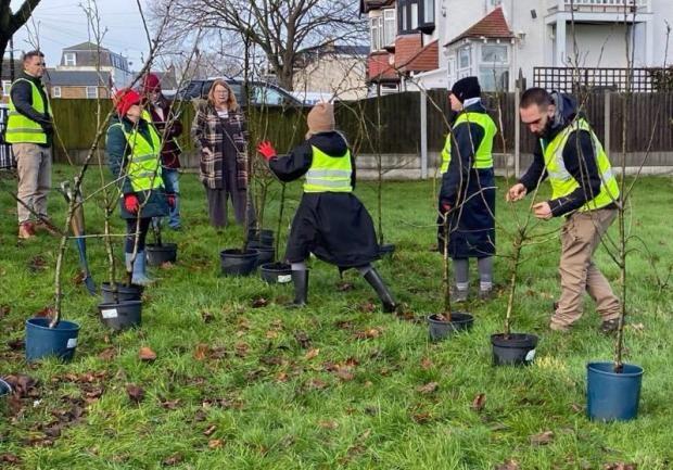photo of council staff and volunteers planting saplings as part of plans for new Shoebury Orchard