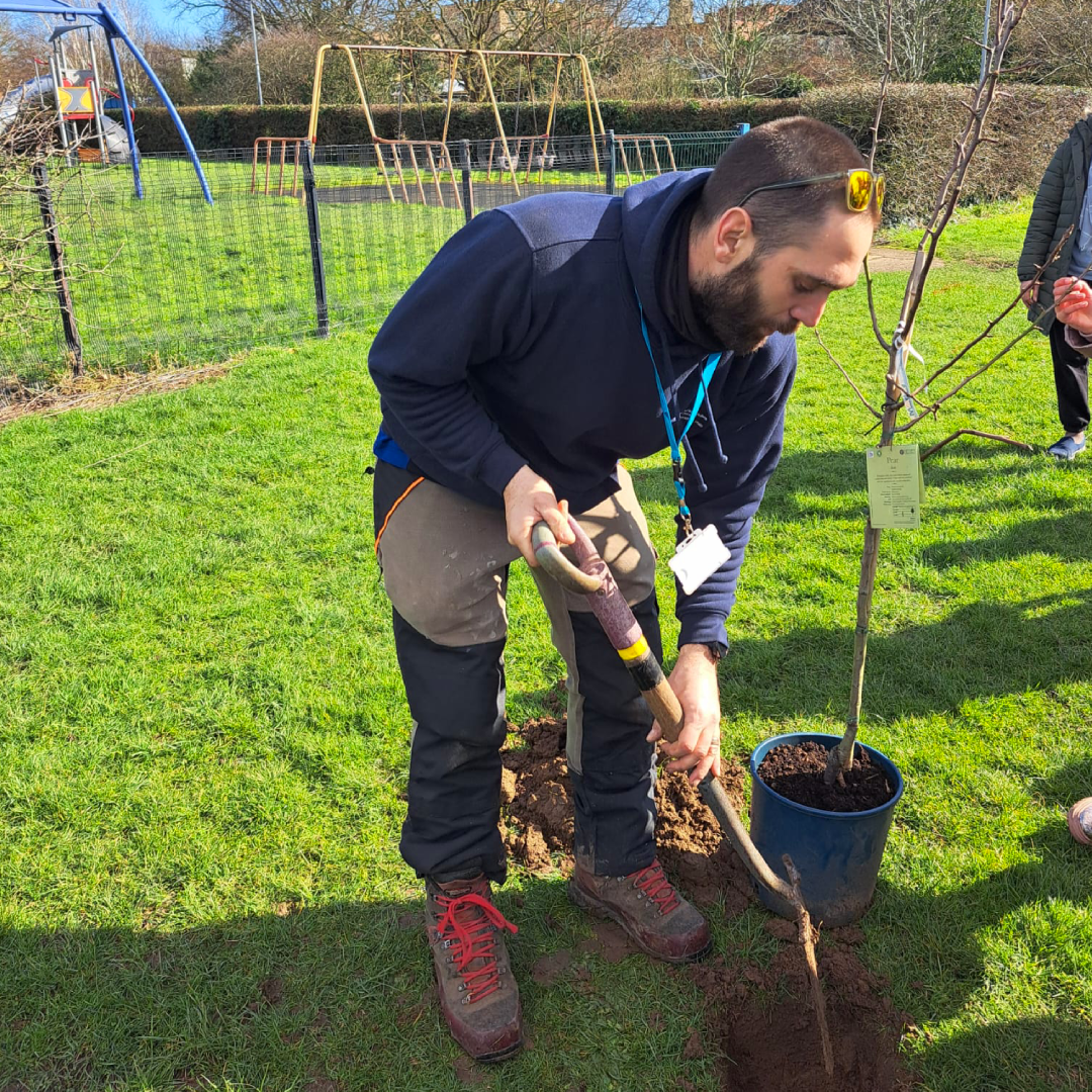 Photo of volunteer tree warden planting trees in Southend