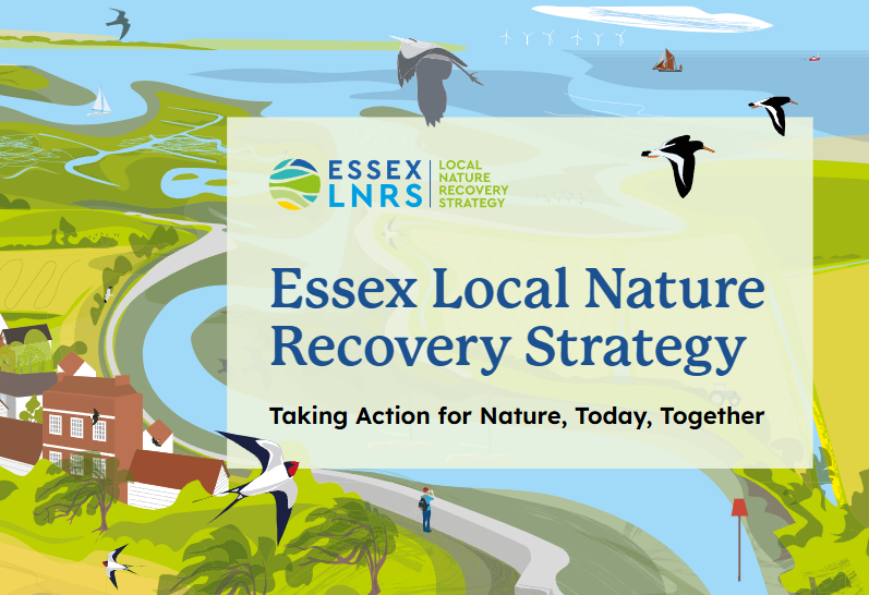 LNRS logo