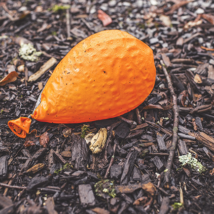 Orange balloon on woodland floor.