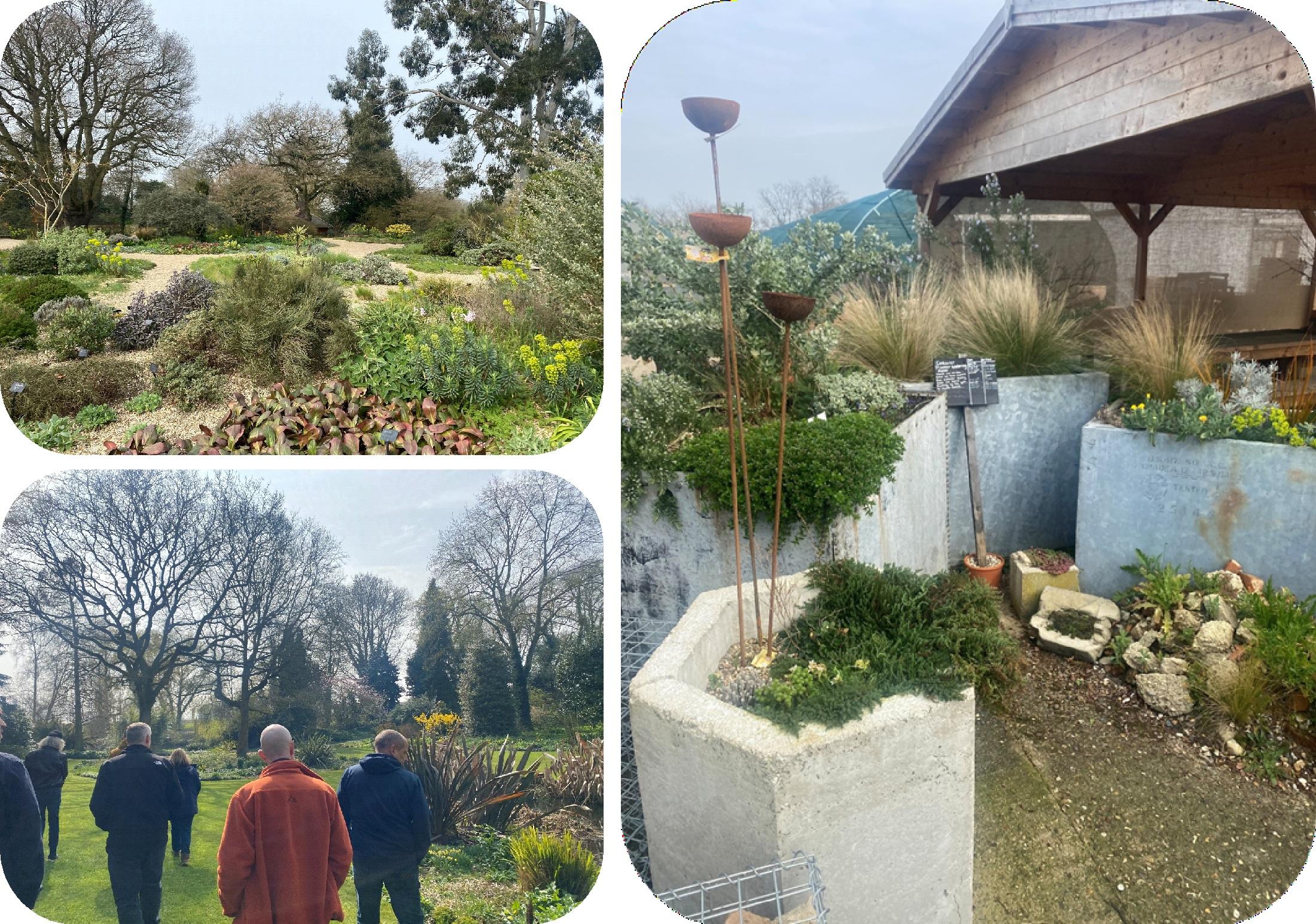 Photos taken during visit to Beth Chatto garden gardens