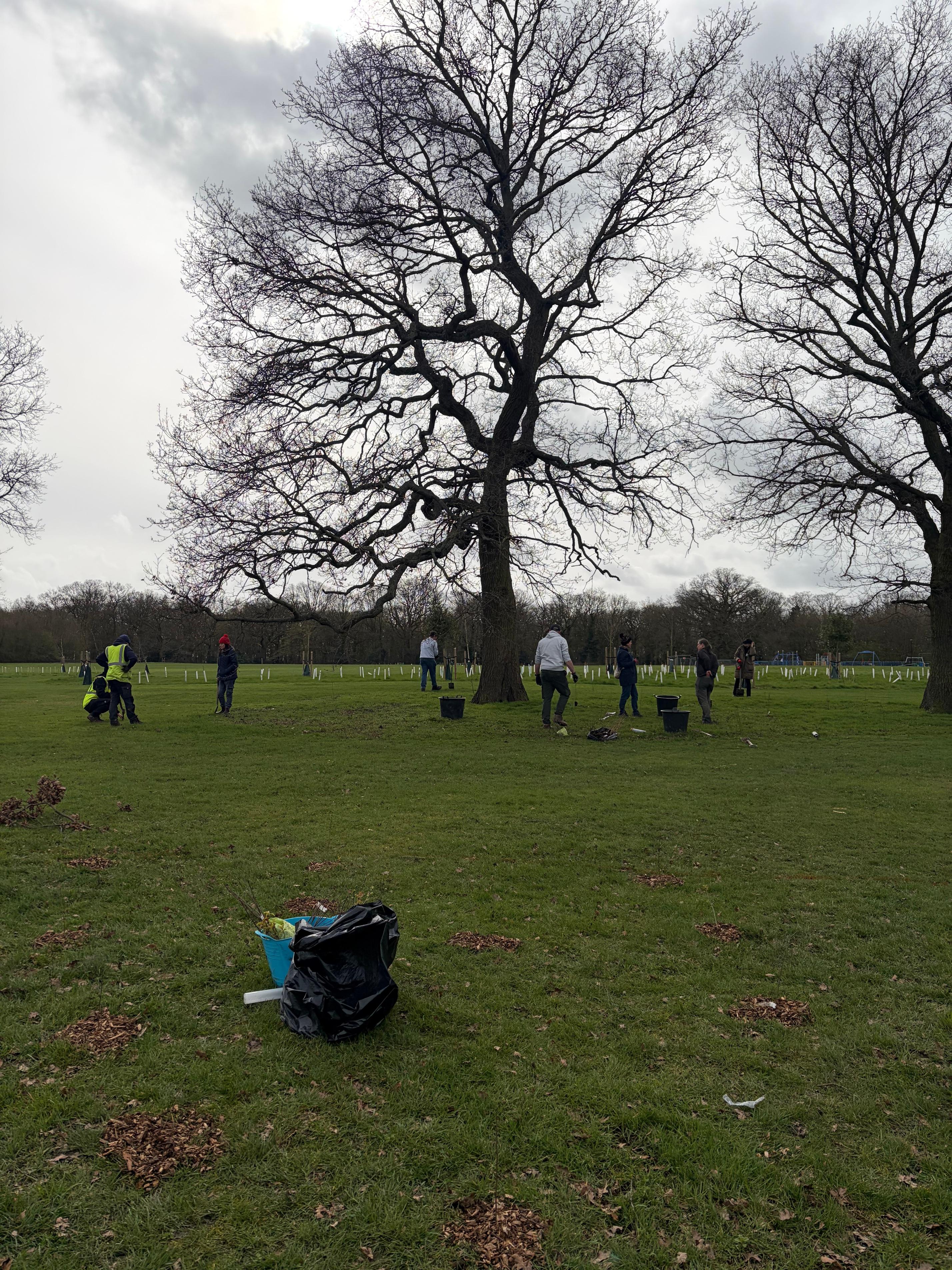 Staff tree planting- oakwood park